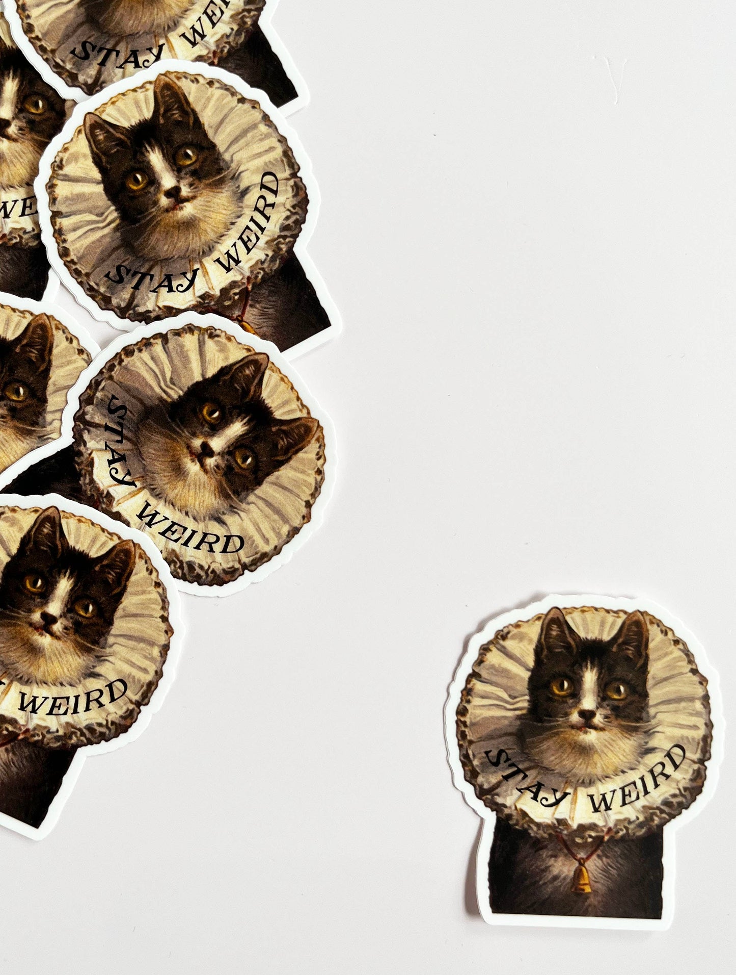 "Stay Weird Kitty" Sticker