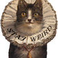 "Stay Weird Kitty" Sticker
