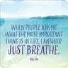 More Calm, Less Stress Insight Cards