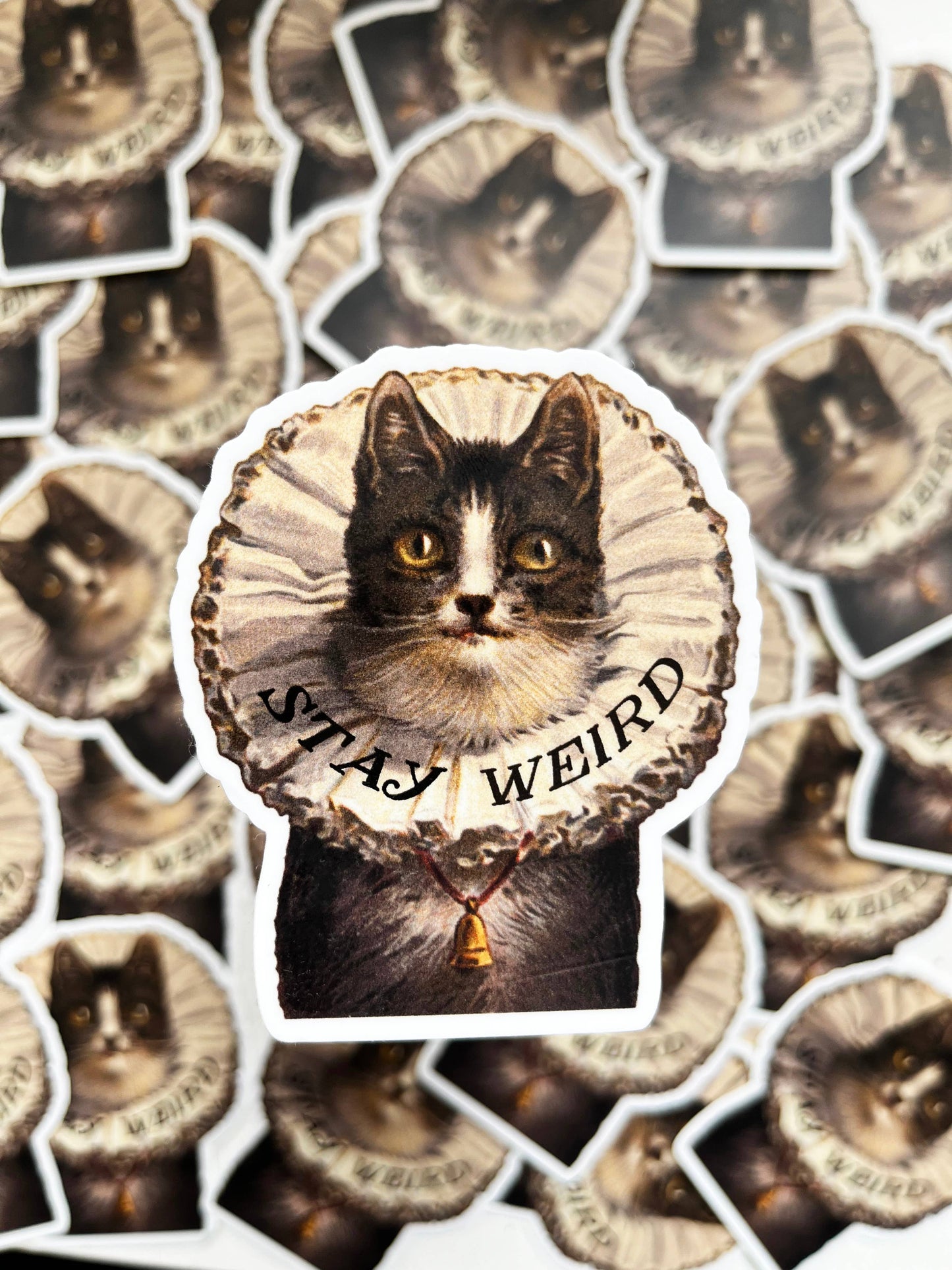 "Stay Weird Kitty" Sticker