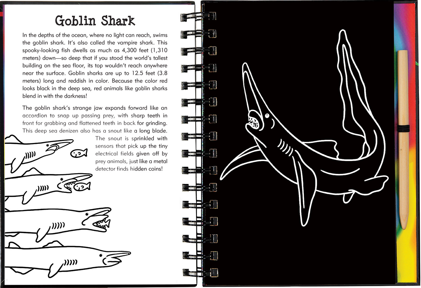 Scratch & Sketch™ Sharks (Trace Along)